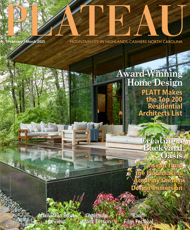 February/March -2025